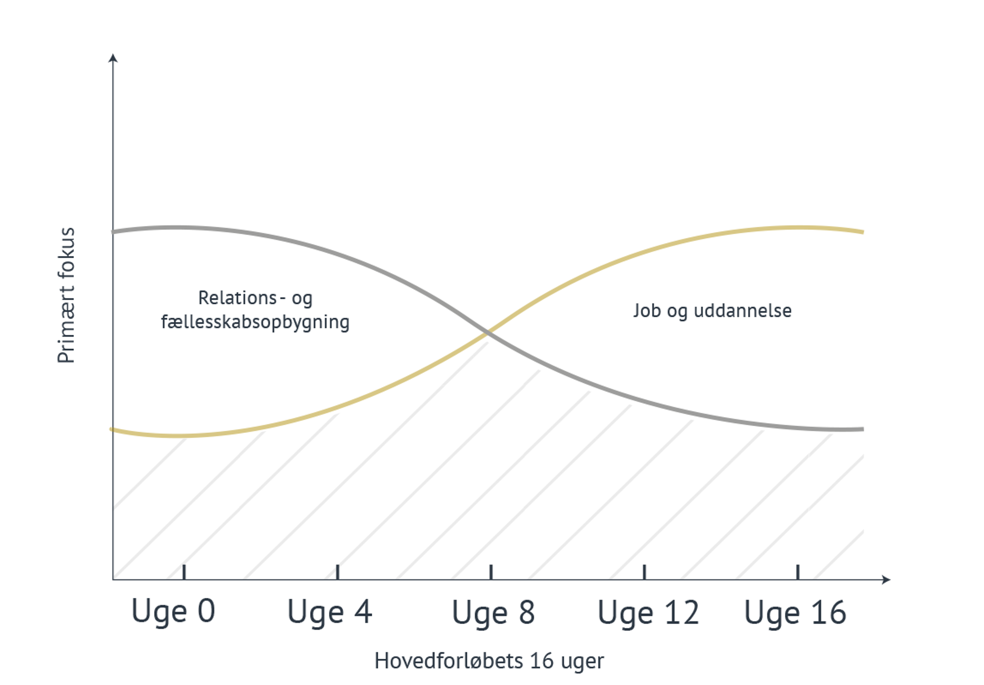 Grafisk oversigt over forløbet, der skifter fokus fra relationsopbygning til beskæftigelse over 16 uger.