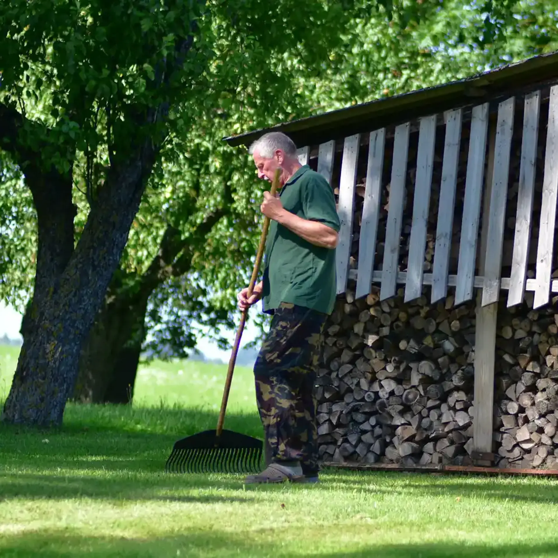 Mand med rive på græsplæne
