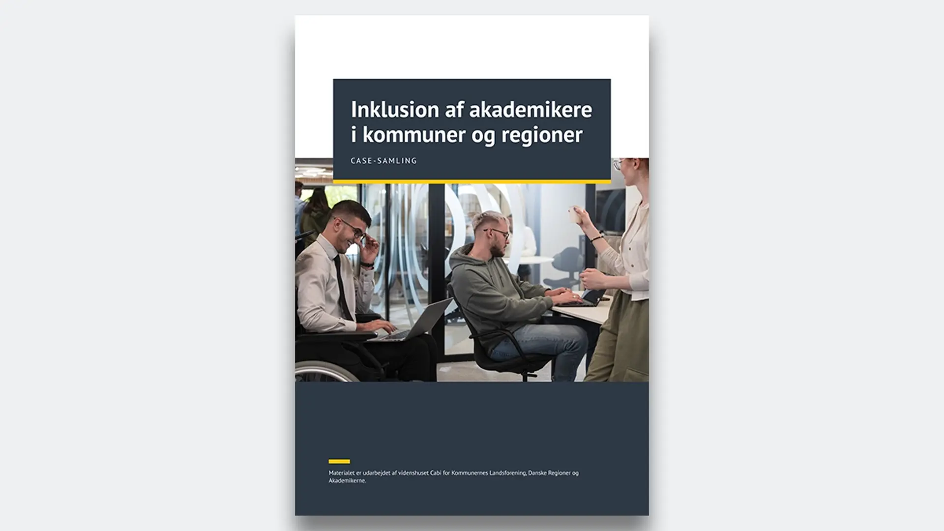 Thumbnail af forsiden af publikationen Inklusion af akademikere i kommuner og regioner - Casesamling 
